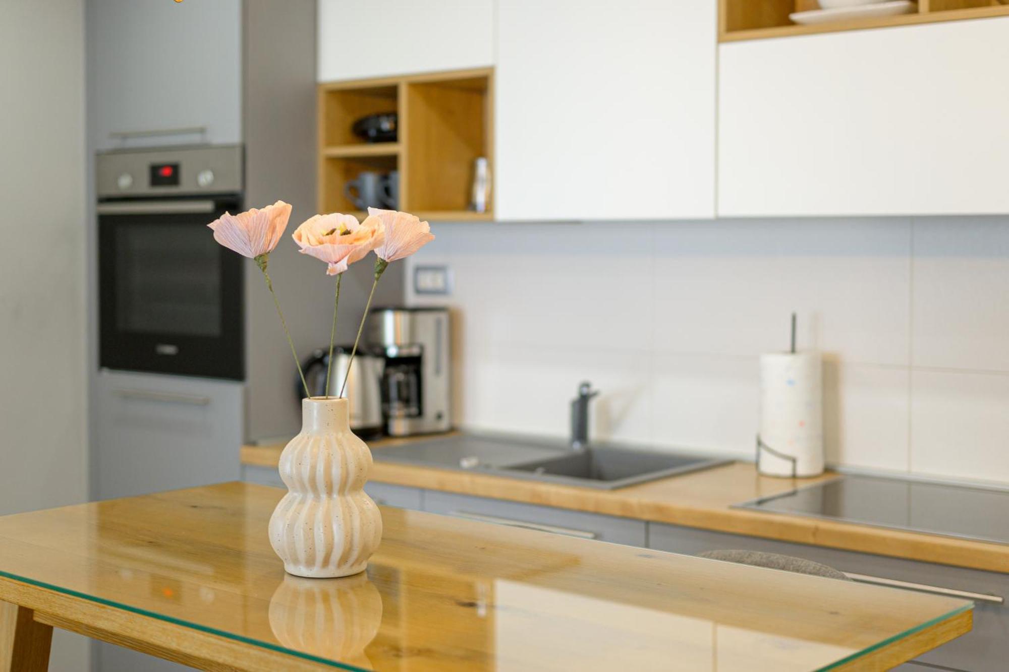 Lavanda Maslina - New Luxury Apartments PUY 외부 사진