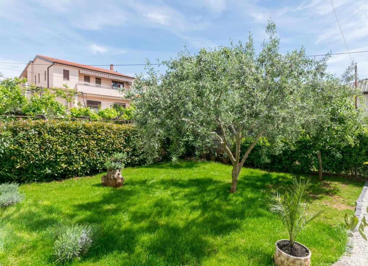 Lavanda Maslina - New Luxury Apartments PUY 외부 사진